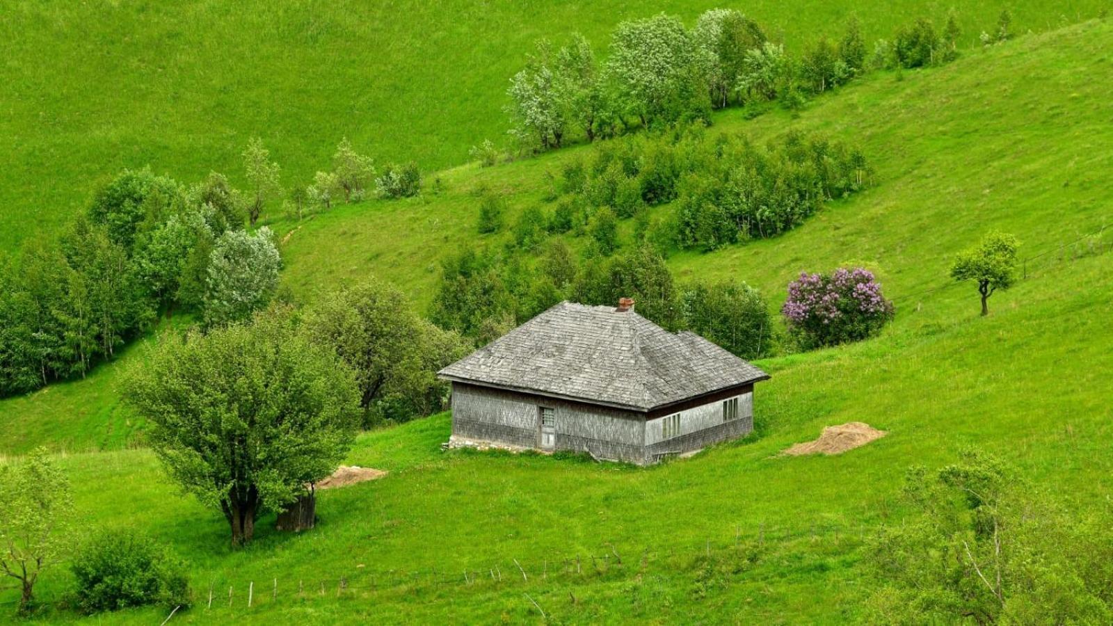 The Barn Villa Şirnea Eksteriør billede