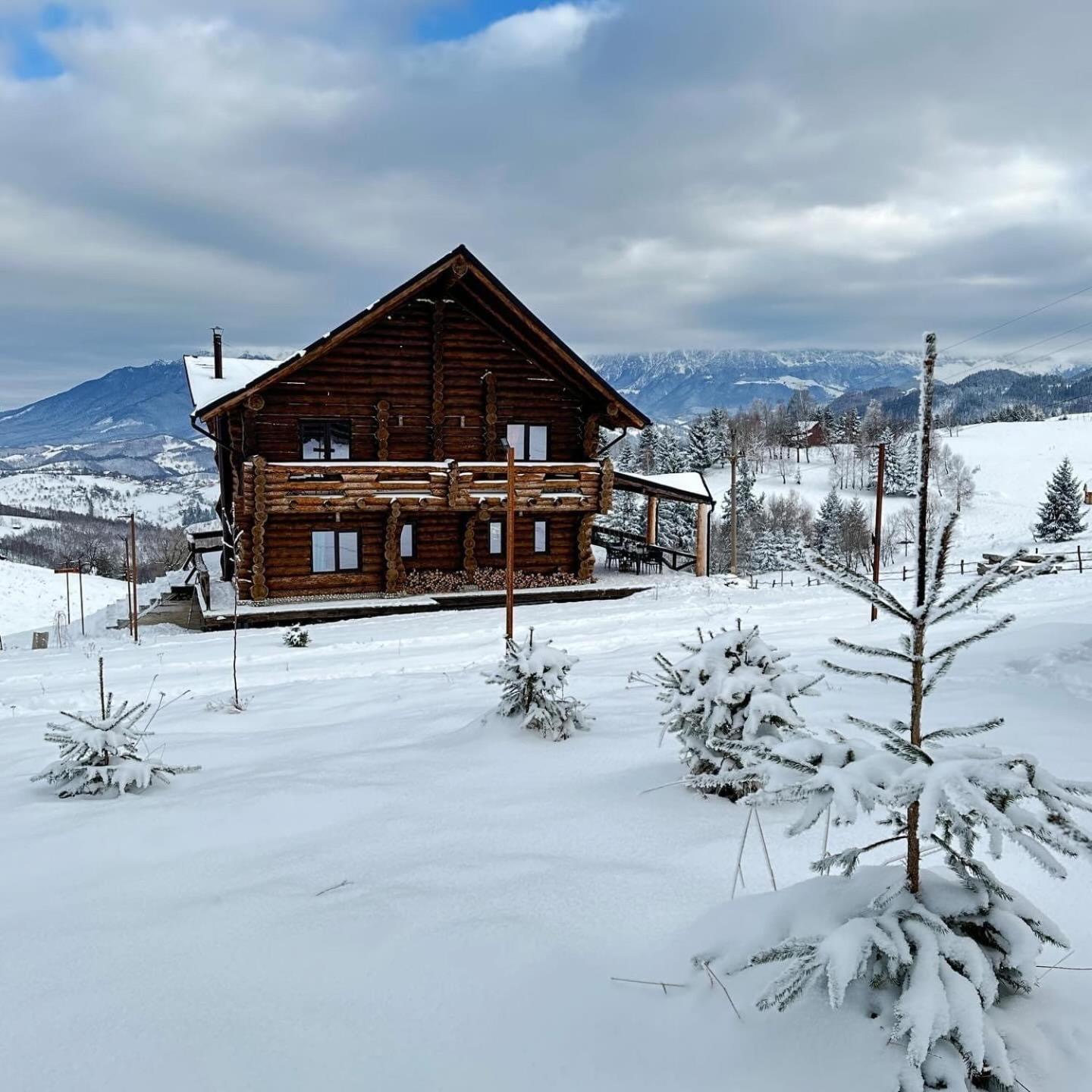 The Barn Villa Şirnea Eksteriør billede