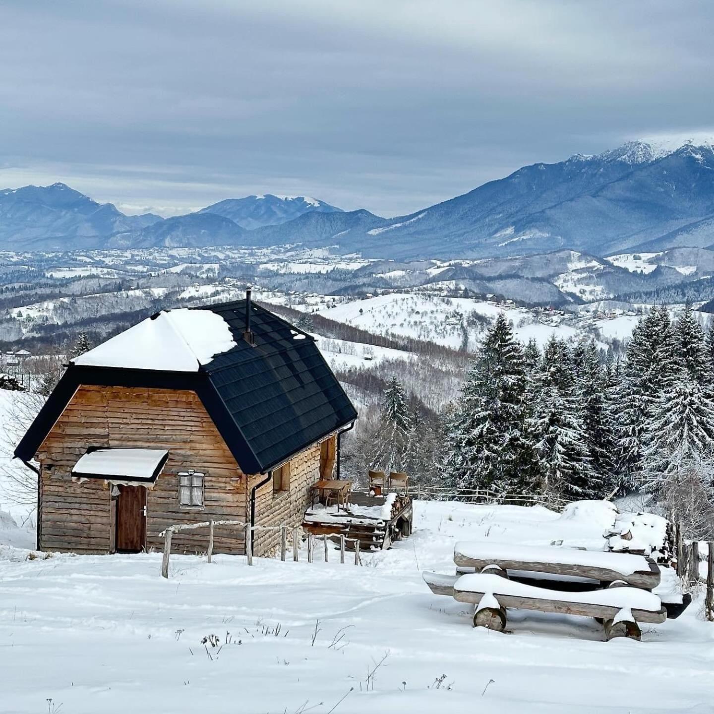 The Barn Villa Şirnea Eksteriør billede