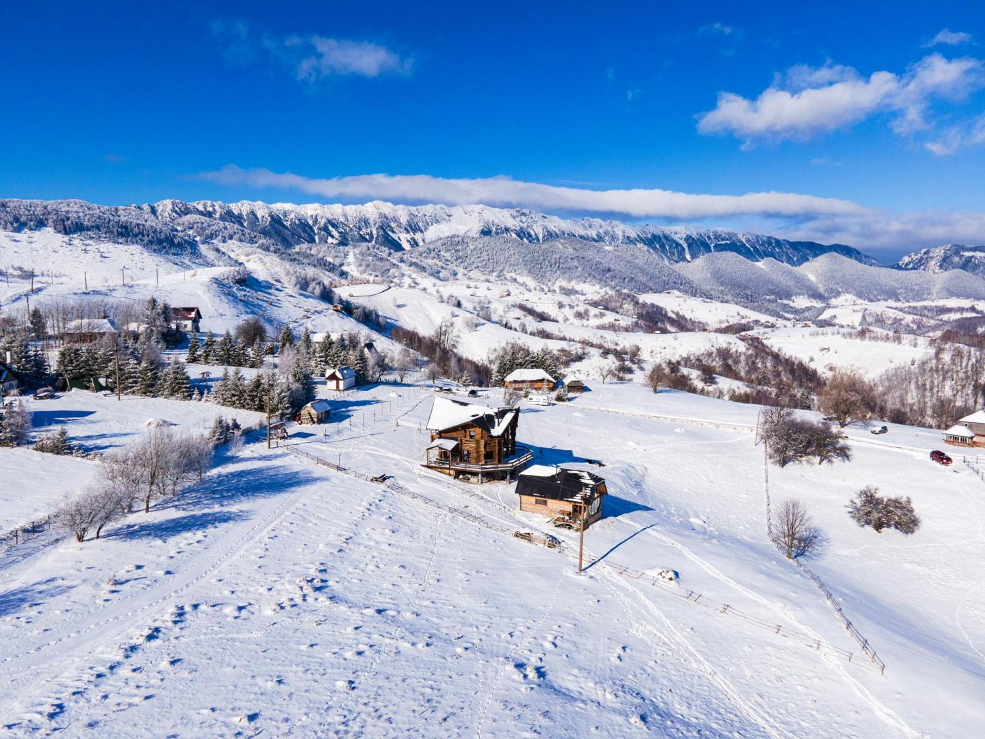 The Barn Villa Şirnea Eksteriør billede